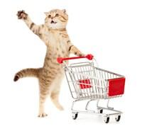 Cat with shopping cart